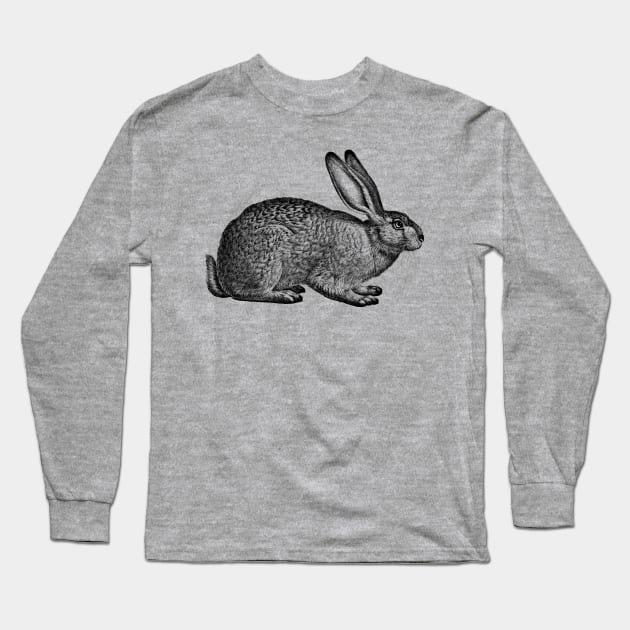 Rabbit - Hare - Bunny - nature - drawing, animal Long Sleeve T-Shirt by AltrusianGrace